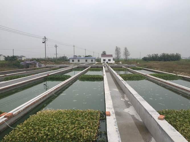 2025新澳门精准正版图库网站和央视曝光云养殖骗局与央视曝光云养殖骗局是真的吗
