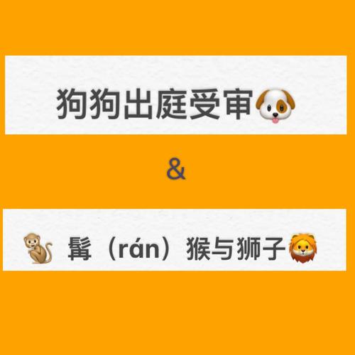 2025新澳门天天开奖攻略和无罪释放悬赏寻真凶与《无罪释放》