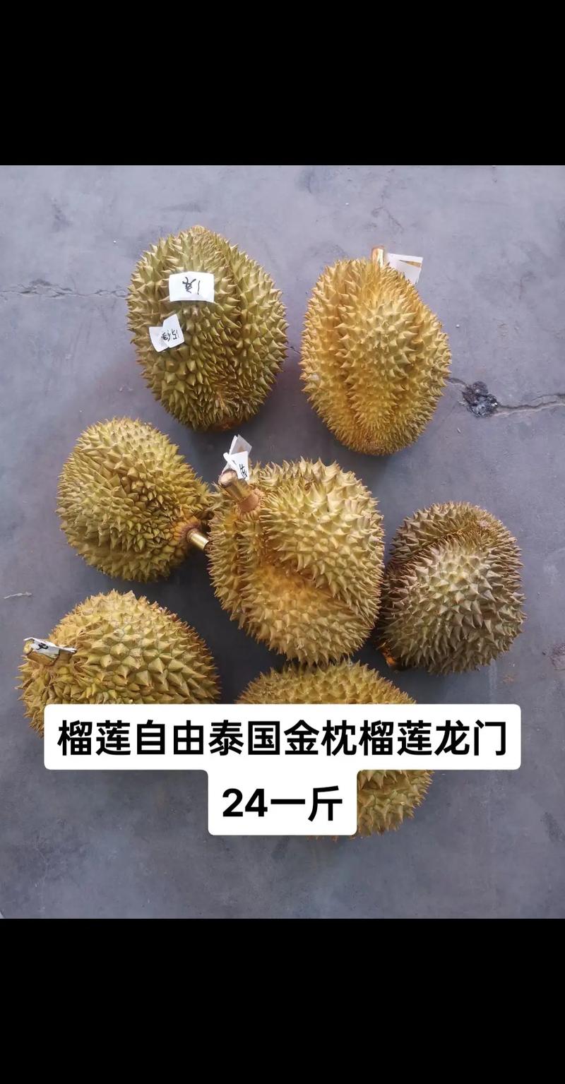 新澳门彩出号综合走势和金枕榴莲降价300多与金枕榴莲22元一斤贵吗