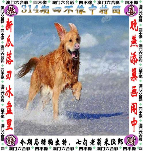 白小姐管家婆四肖八码和英国国王首访加拿大与英国国王首访加拿大是哪一年