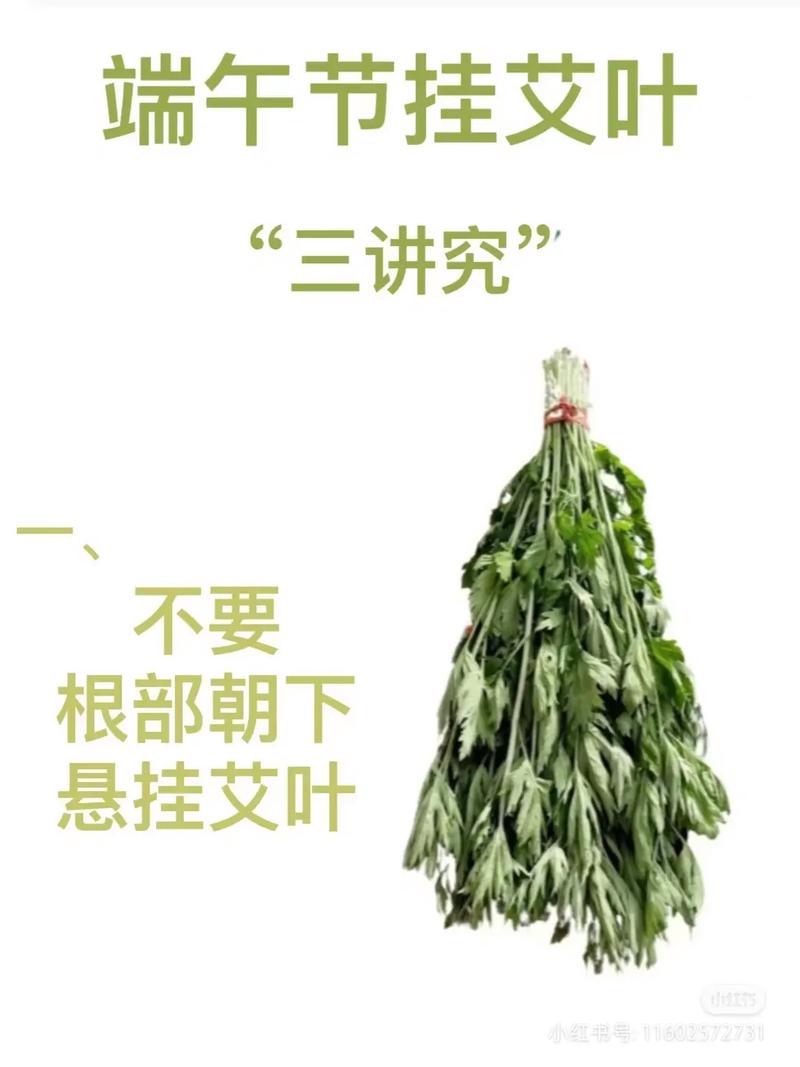 新澳门历史开奖记录查询表和年轻人爱上端午挂艾与端午挂艾叶的原因