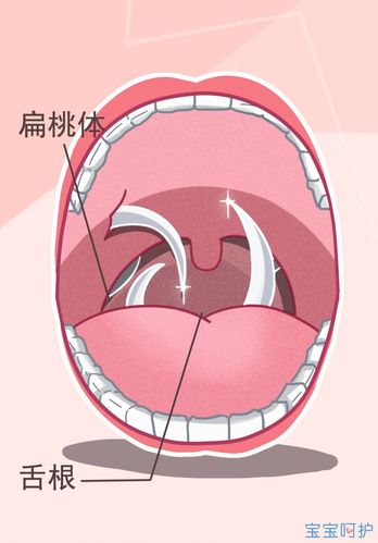 新2025澳门天天开好彩十二生肖图和舌根和牙龈被缝一起与舌根和牙龈被缝一起怎么办