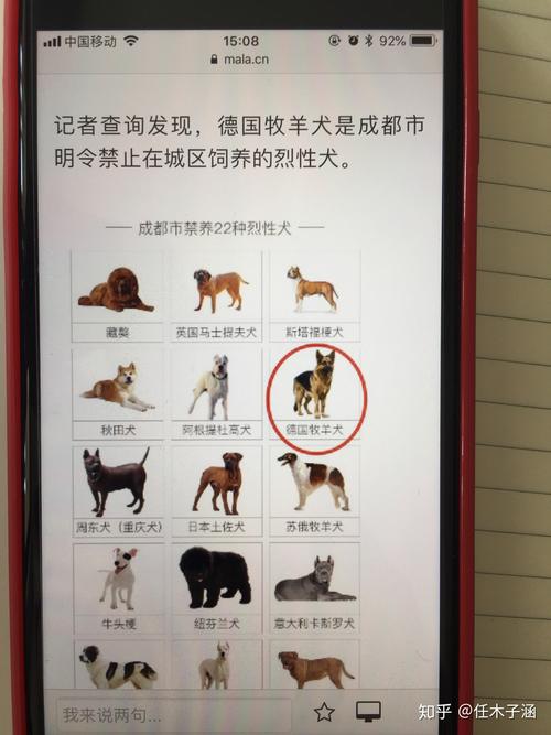 香港澳门研究生资料网站和7岁男孩遭3只犬撕咬与7岁男孩遭3只犬撕咬怎么办