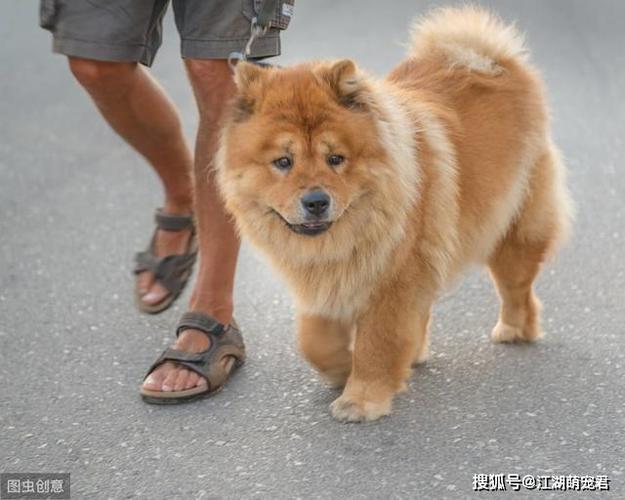 澳门香港 第323页