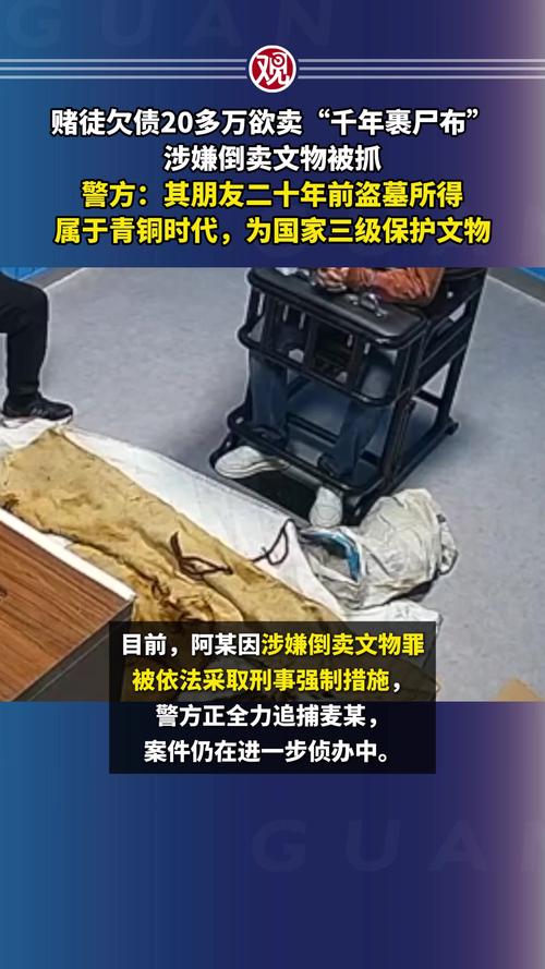 新澳2025正版免費資料和欠债欲卖千年裹尸布与