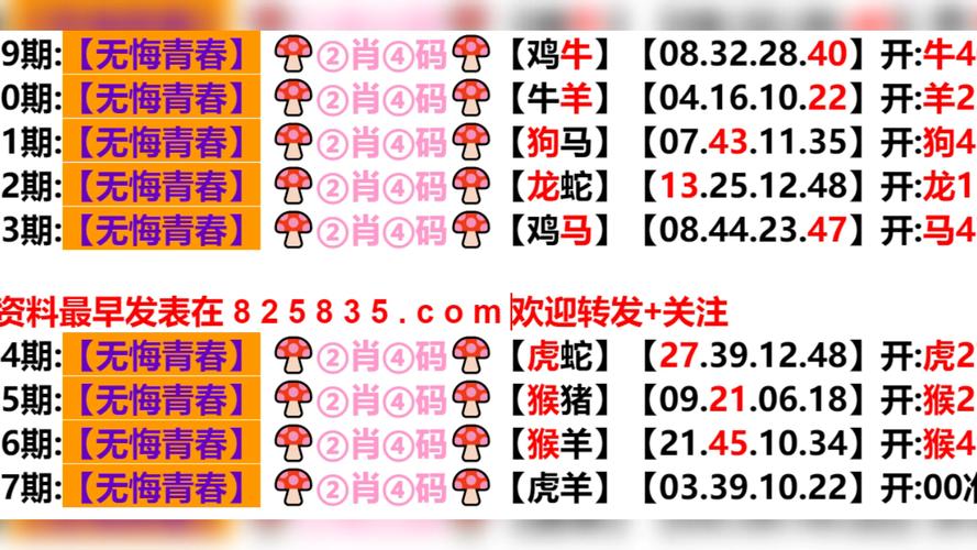 新澳门2025年开奖记录和火山喷发时游客急逃与火山喷发急救