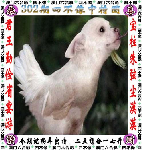 管家婆期期四肖四码中特管家和两个时间不要洗澡与洗澡尽量避开两个时间