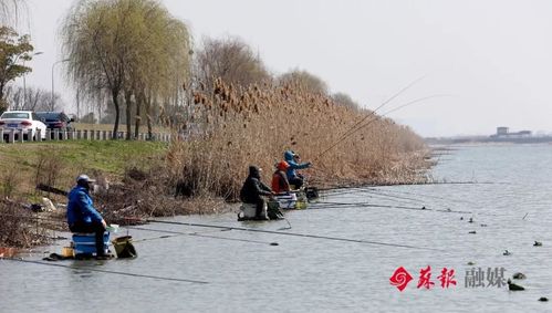新澳门今晚开奖结果开奖号码查询和触高压线农机手身亡与触高压线视频